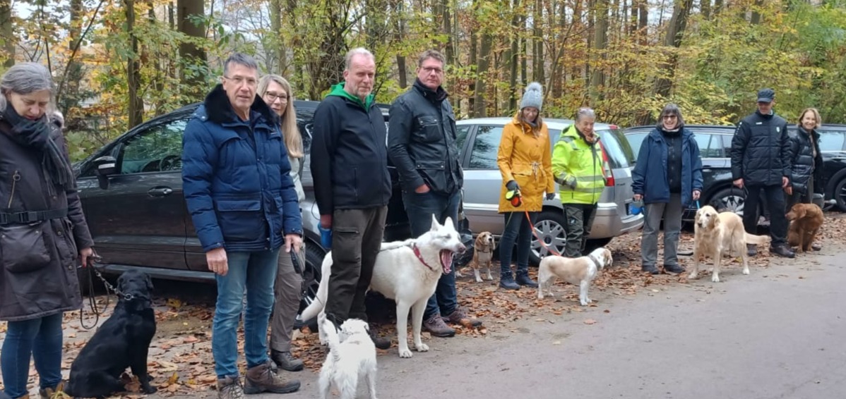 Hundewanderungbearbeitet